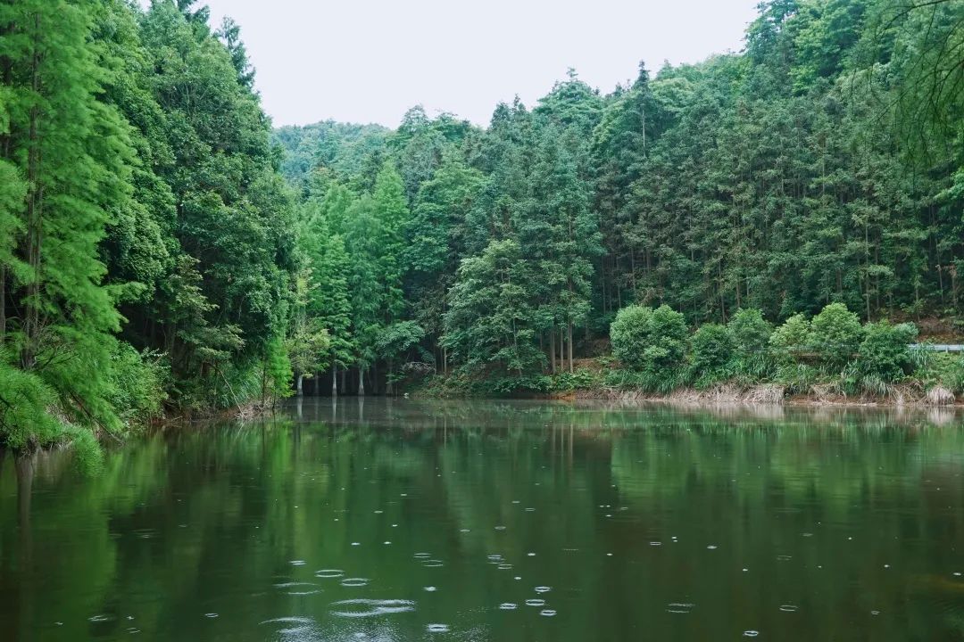DƬ